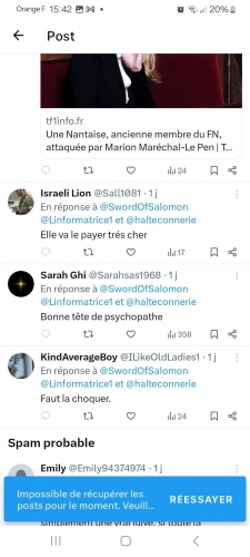 Rieu Halteconnerie SwordofSalomon Faut la choquer.jpg
